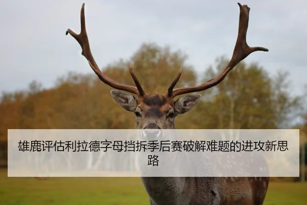 雄鹿评估利拉德字母挡拆季后赛破解难题的进攻新思路